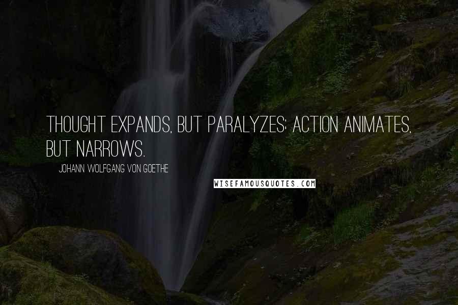 Johann Wolfgang Von Goethe Quotes: Thought expands, but paralyzes; action animates, but narrows.