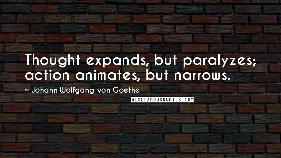 Johann Wolfgang Von Goethe Quotes: Thought expands, but paralyzes; action animates, but narrows.