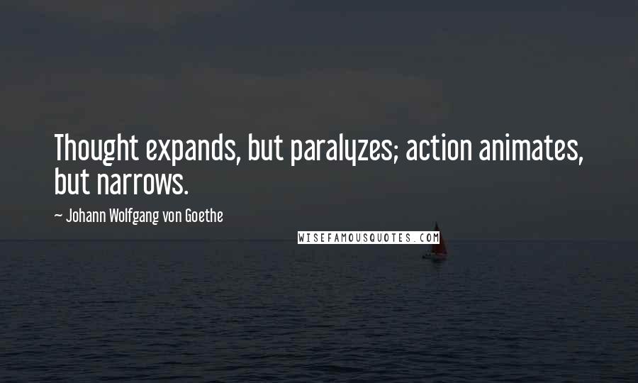 Johann Wolfgang Von Goethe Quotes: Thought expands, but paralyzes; action animates, but narrows.