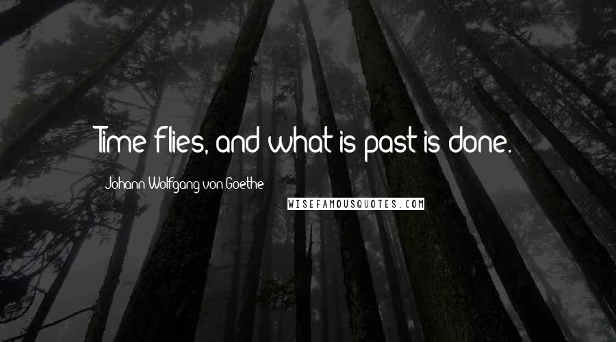 Johann Wolfgang Von Goethe Quotes: Time flies, and what is past is done.