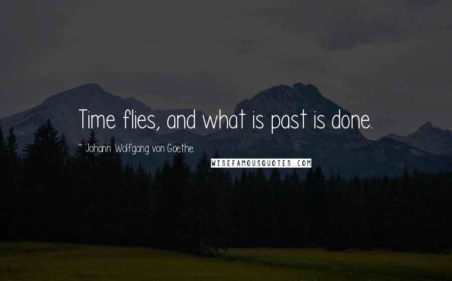 Johann Wolfgang Von Goethe Quotes: Time flies, and what is past is done.