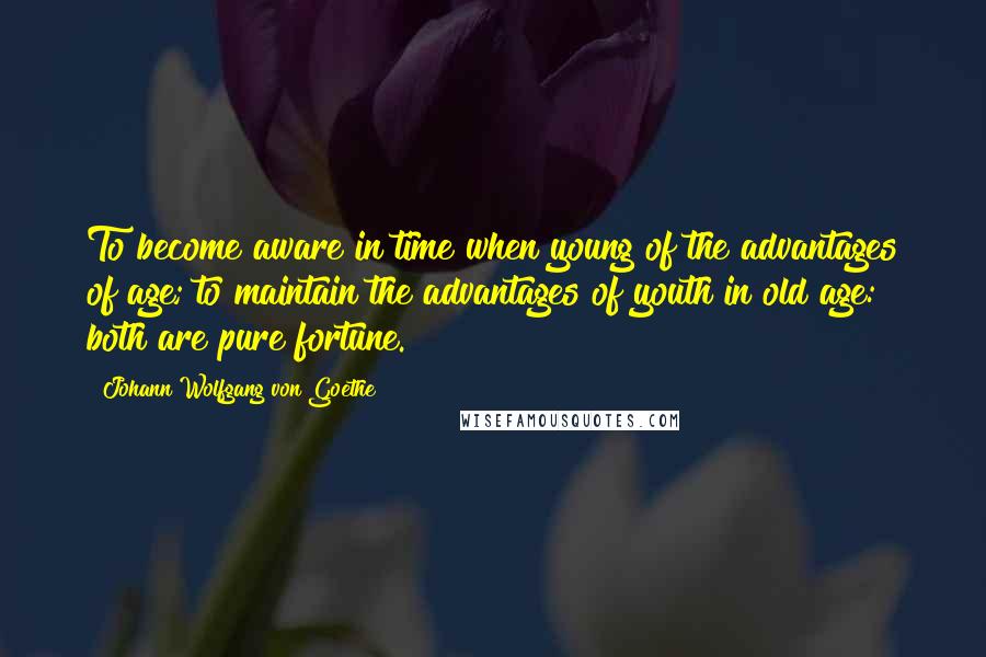 Johann Wolfgang Von Goethe Quotes: To become aware in time when young of the advantages of age; to maintain the advantages of youth in old age: both are pure fortune.