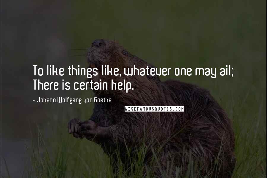 Johann Wolfgang Von Goethe Quotes: To like things like, whatever one may ail; There is certain help.