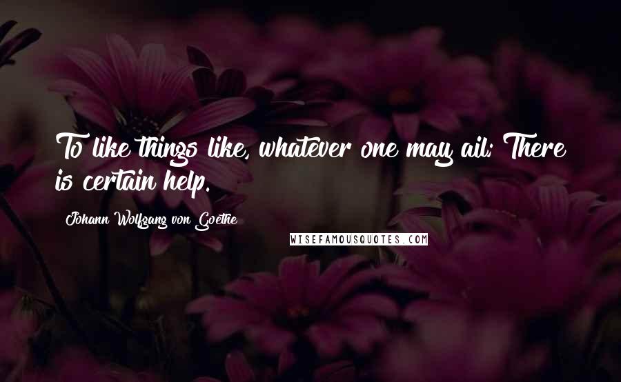 Johann Wolfgang Von Goethe Quotes: To like things like, whatever one may ail; There is certain help.