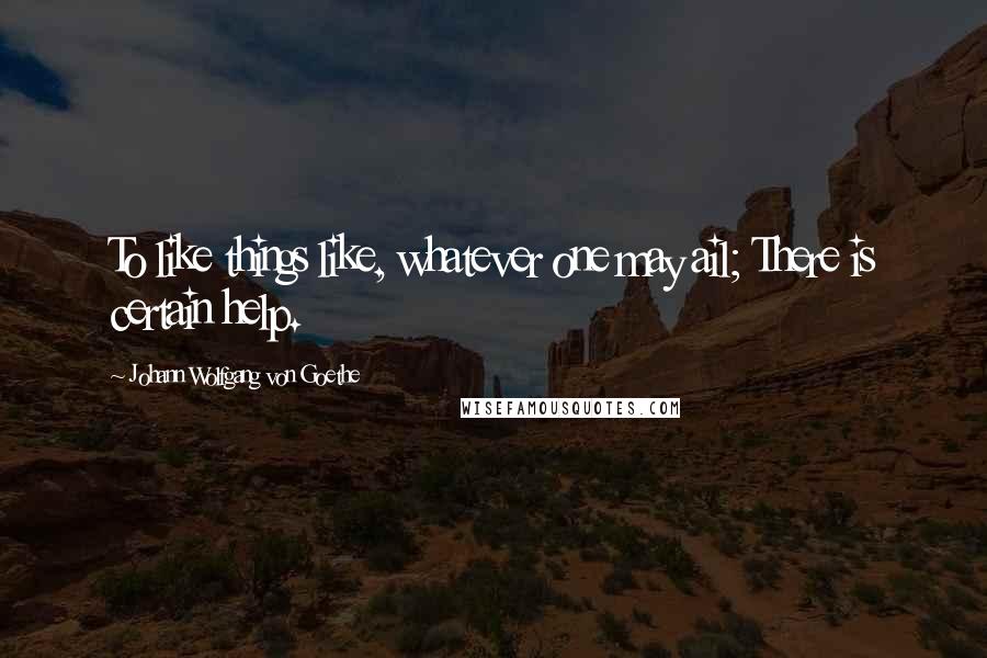 Johann Wolfgang Von Goethe Quotes: To like things like, whatever one may ail; There is certain help.