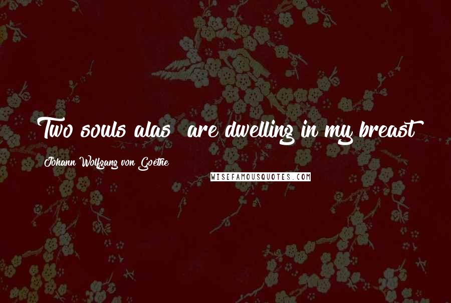 Johann Wolfgang Von Goethe Quotes: Two souls alas! are dwelling in my breast