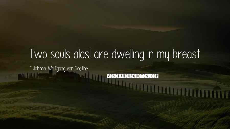 Johann Wolfgang Von Goethe Quotes: Two souls alas! are dwelling in my breast
