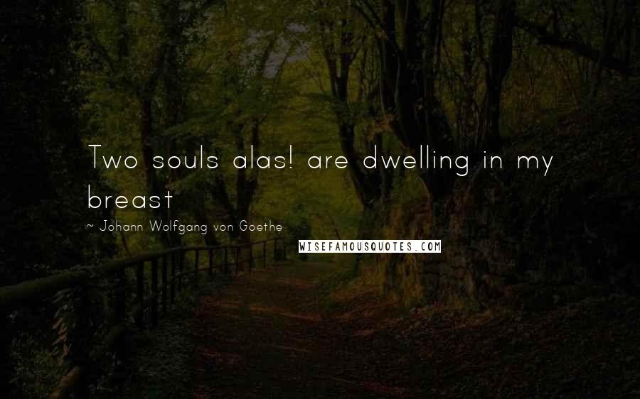 Johann Wolfgang Von Goethe Quotes: Two souls alas! are dwelling in my breast