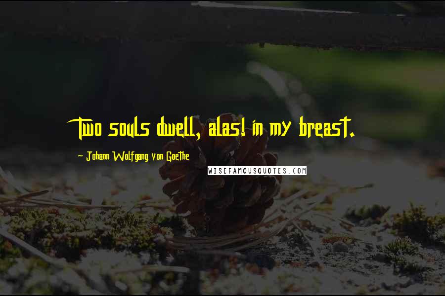 Johann Wolfgang Von Goethe Quotes: Two souls dwell, alas! in my breast.