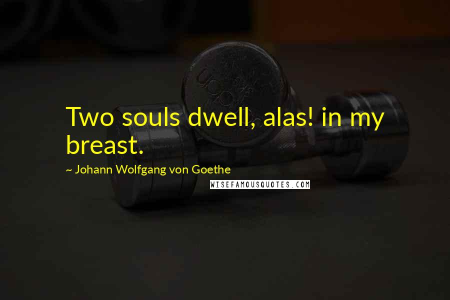 Johann Wolfgang Von Goethe Quotes: Two souls dwell, alas! in my breast.