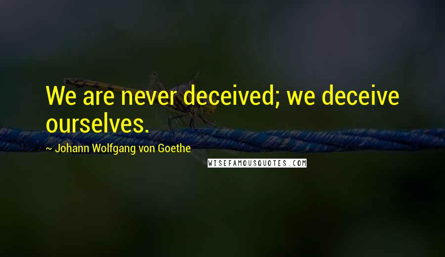 Johann Wolfgang Von Goethe Quotes: We are never deceived; we deceive ourselves.