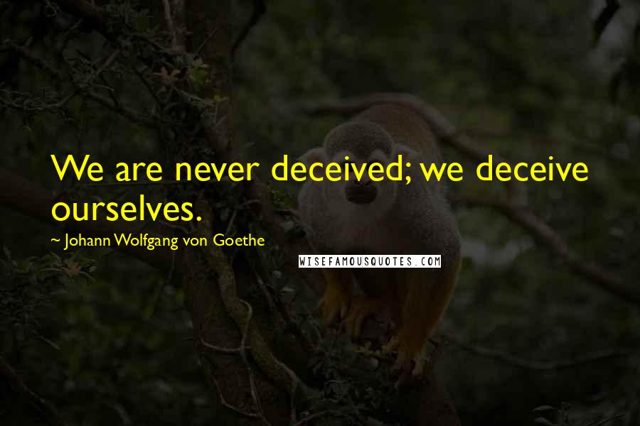 Johann Wolfgang Von Goethe Quotes: We are never deceived; we deceive ourselves.