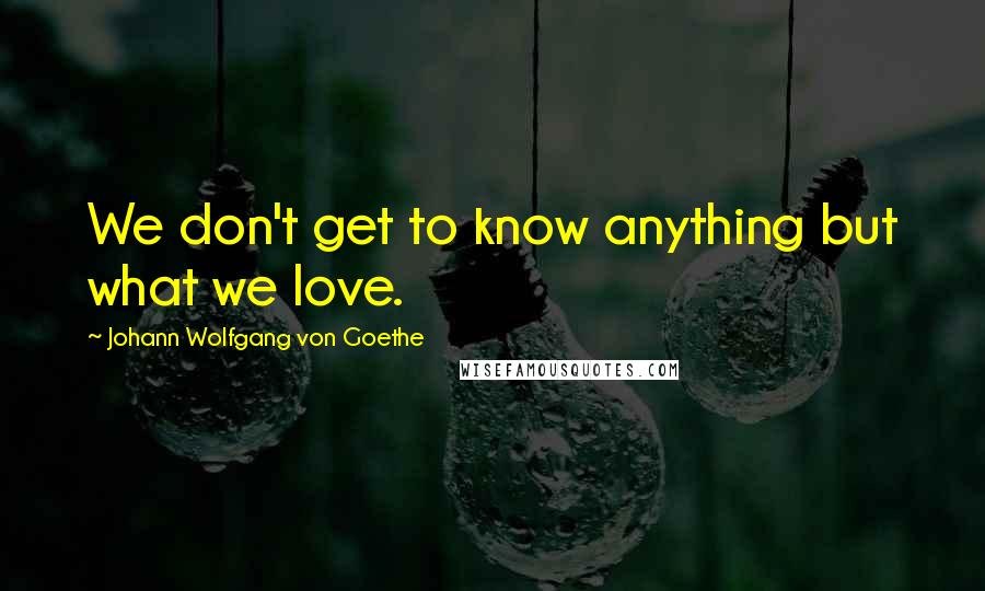 Johann Wolfgang Von Goethe Quotes: We don't get to know anything but what we love.