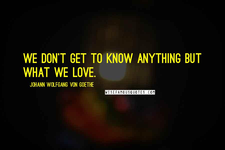 Johann Wolfgang Von Goethe Quotes: We don't get to know anything but what we love.
