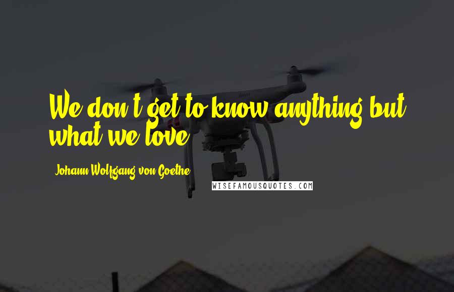 Johann Wolfgang Von Goethe Quotes: We don't get to know anything but what we love.