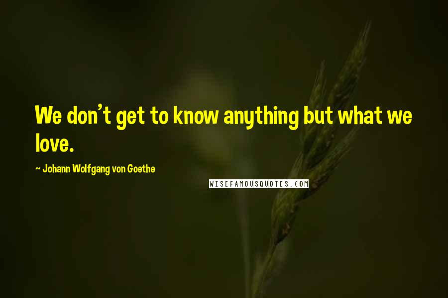 Johann Wolfgang Von Goethe Quotes: We don't get to know anything but what we love.