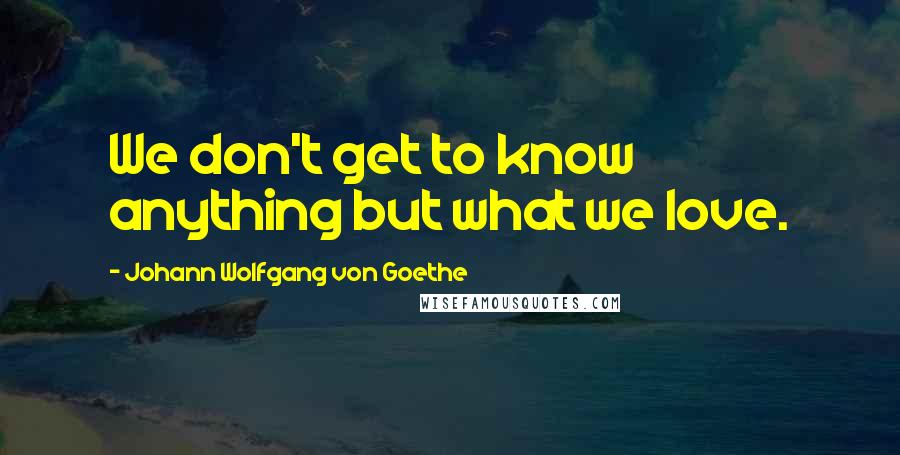 Johann Wolfgang Von Goethe Quotes: We don't get to know anything but what we love.