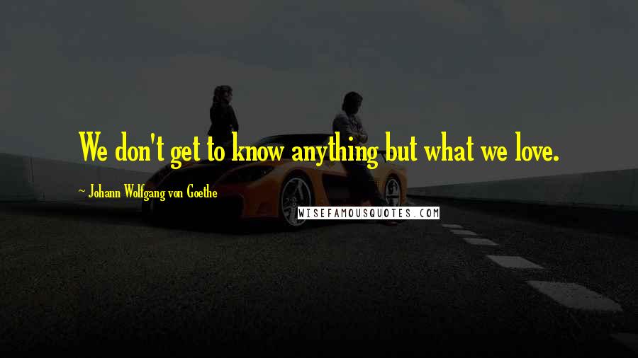 Johann Wolfgang Von Goethe Quotes: We don't get to know anything but what we love.