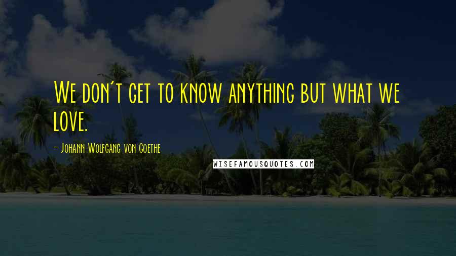 Johann Wolfgang Von Goethe Quotes: We don't get to know anything but what we love.