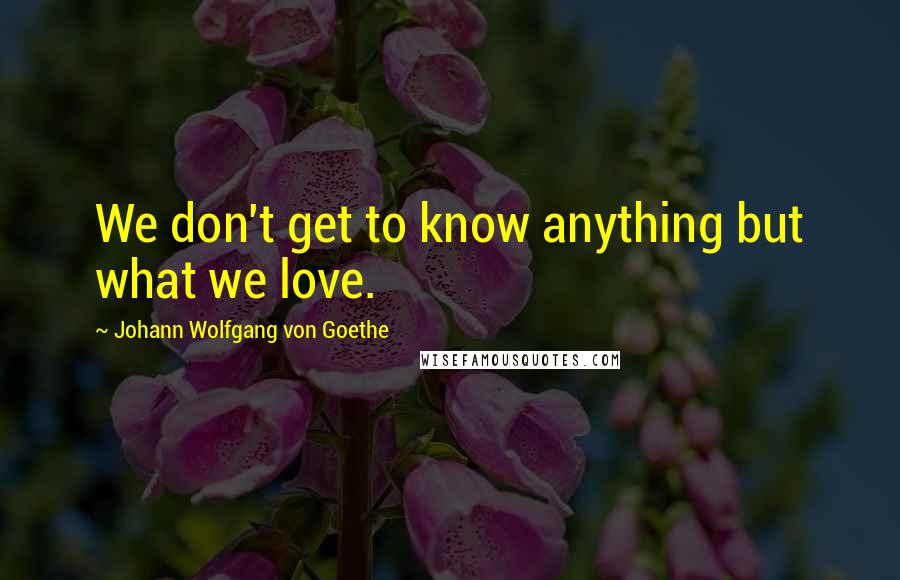 Johann Wolfgang Von Goethe Quotes: We don't get to know anything but what we love.