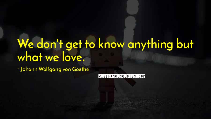 Johann Wolfgang Von Goethe Quotes: We don't get to know anything but what we love.