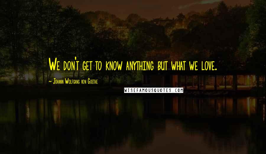 Johann Wolfgang Von Goethe Quotes: We don't get to know anything but what we love.