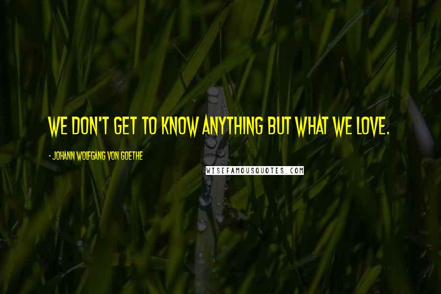 Johann Wolfgang Von Goethe Quotes: We don't get to know anything but what we love.
