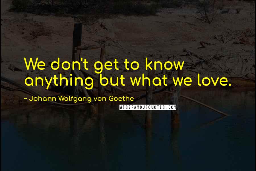 Johann Wolfgang Von Goethe Quotes: We don't get to know anything but what we love.