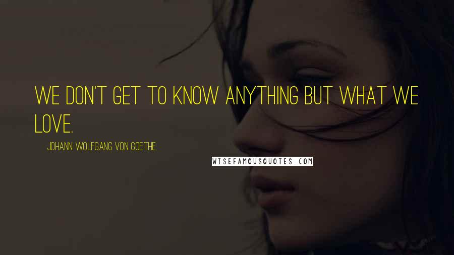 Johann Wolfgang Von Goethe Quotes: We don't get to know anything but what we love.
