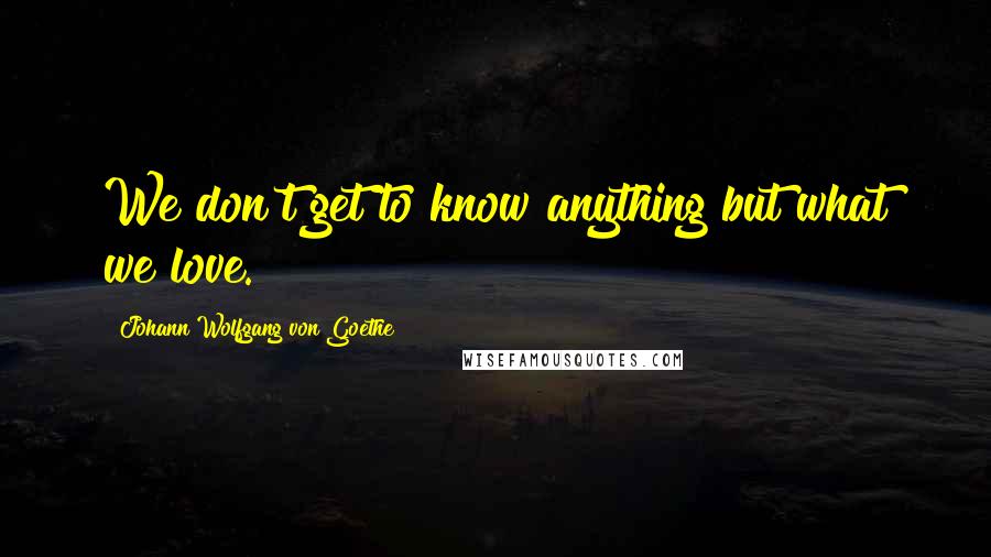 Johann Wolfgang Von Goethe Quotes: We don't get to know anything but what we love.