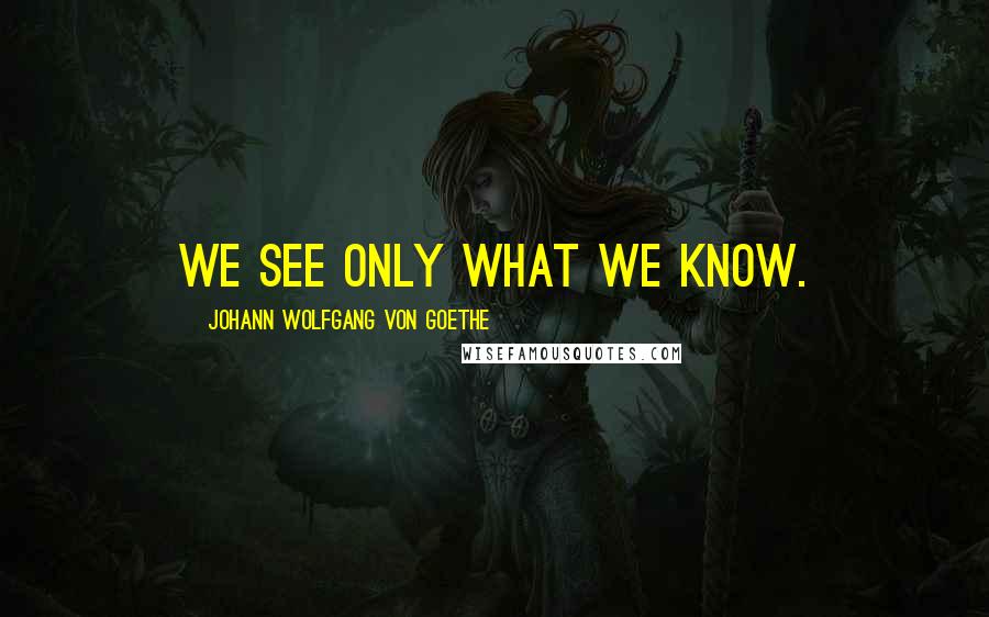 Johann Wolfgang Von Goethe Quotes: We see only what we know.
