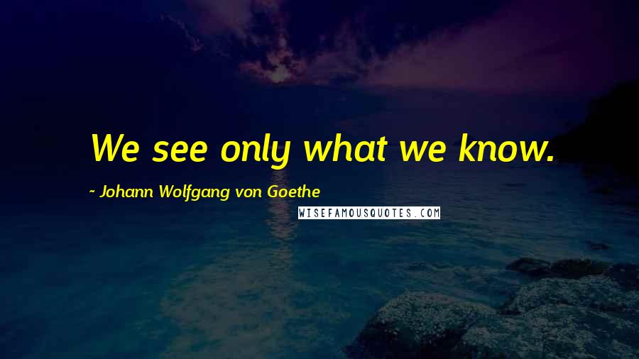 Johann Wolfgang Von Goethe Quotes: We see only what we know.
