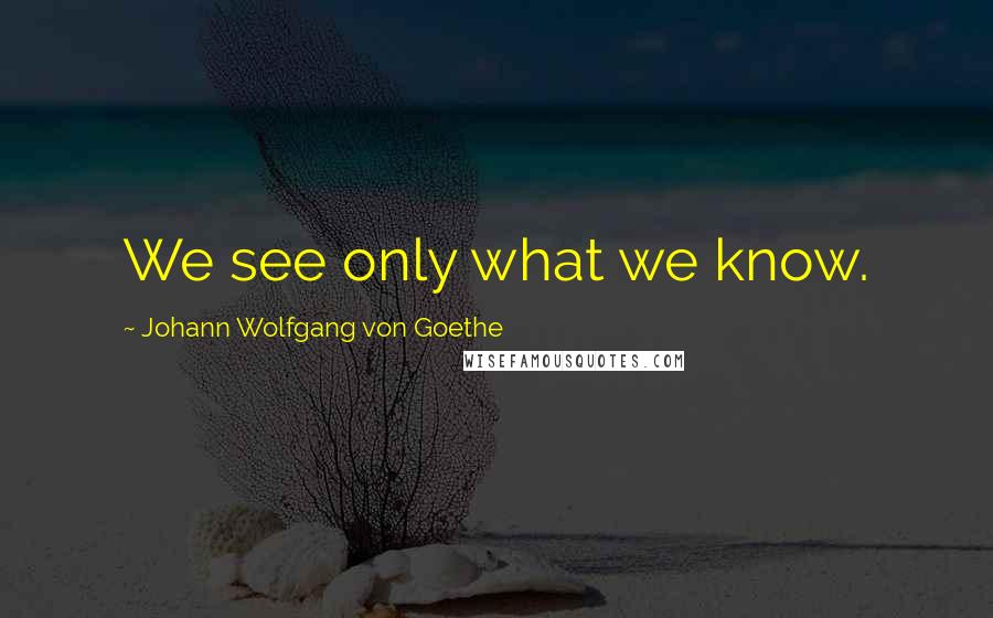 Johann Wolfgang Von Goethe Quotes: We see only what we know.