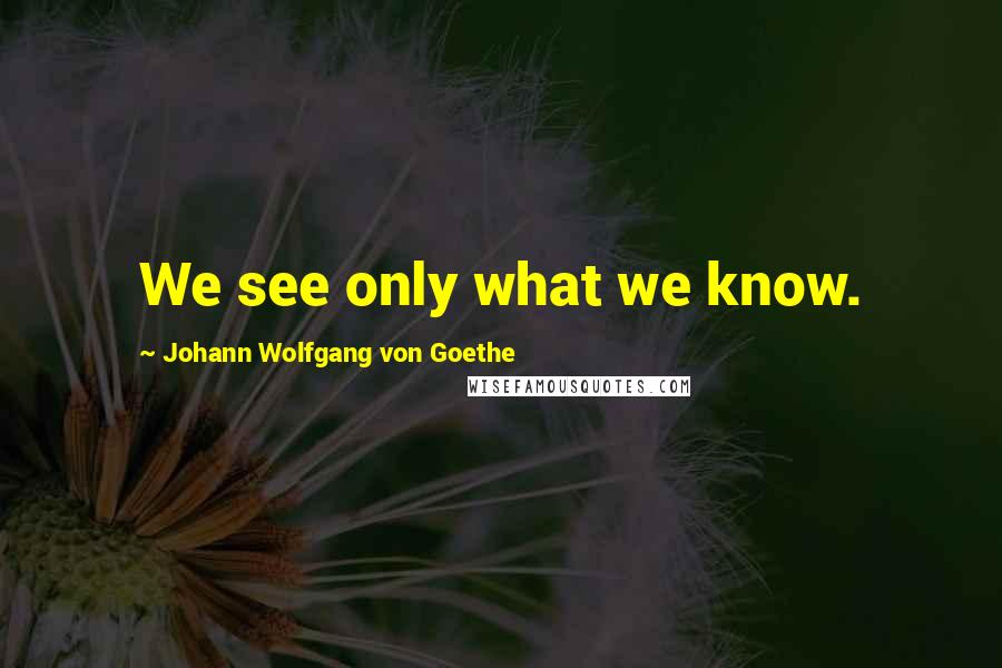 Johann Wolfgang Von Goethe Quotes: We see only what we know.