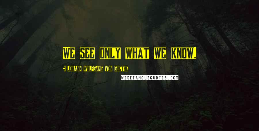 Johann Wolfgang Von Goethe Quotes: We see only what we know.