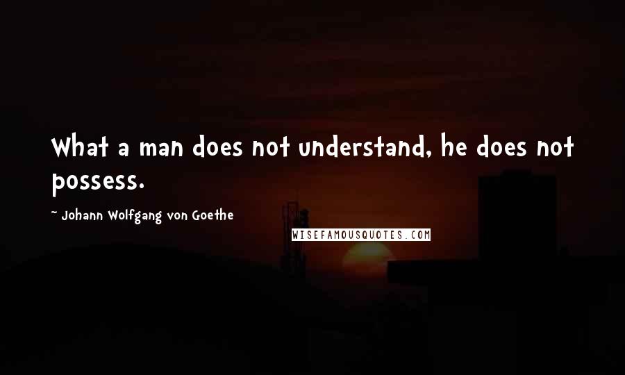 Johann Wolfgang Von Goethe Quotes: What a man does not understand, he does not possess.