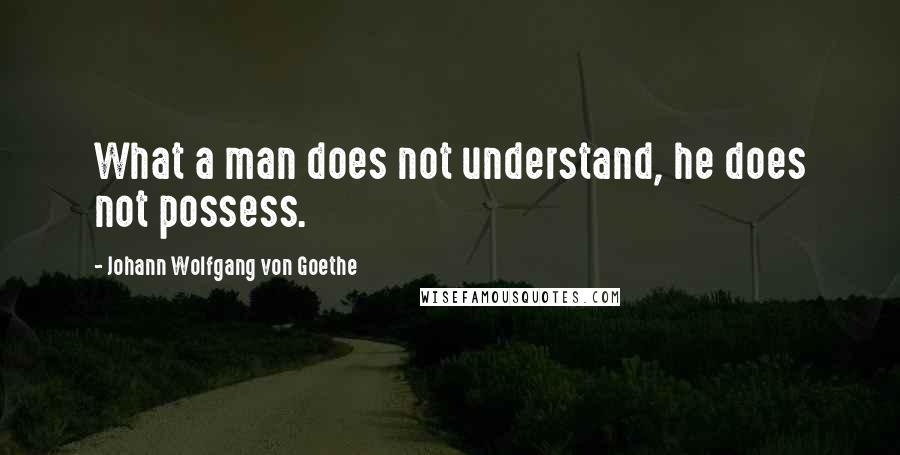 Johann Wolfgang Von Goethe Quotes: What a man does not understand, he does not possess.