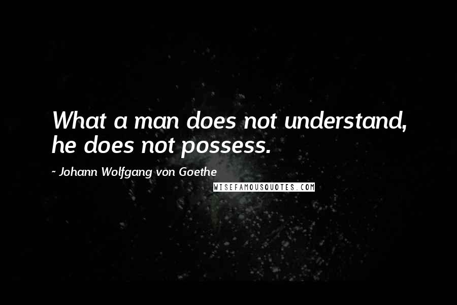 Johann Wolfgang Von Goethe Quotes: What a man does not understand, he does not possess.