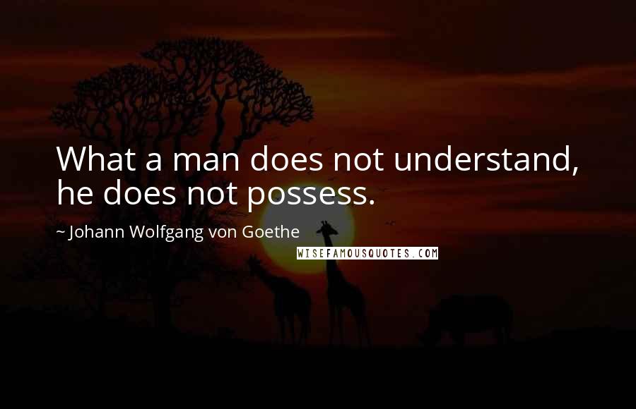 Johann Wolfgang Von Goethe Quotes: What a man does not understand, he does not possess.