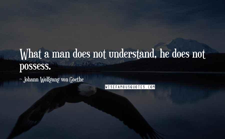 Johann Wolfgang Von Goethe Quotes: What a man does not understand, he does not possess.