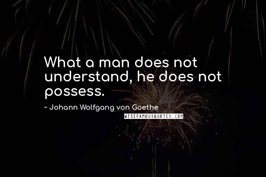 Johann Wolfgang Von Goethe Quotes: What a man does not understand, he does not possess.
