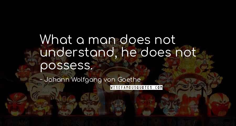 Johann Wolfgang Von Goethe Quotes: What a man does not understand, he does not possess.