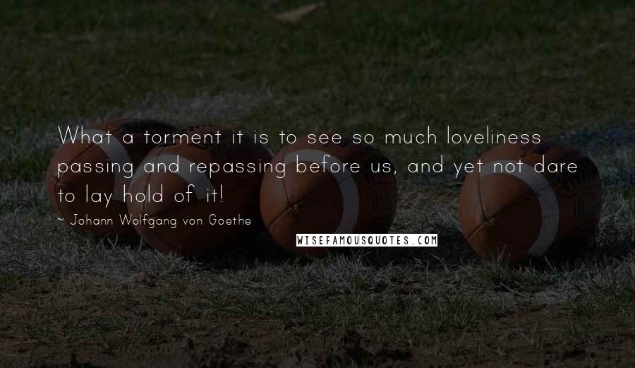 Johann Wolfgang Von Goethe Quotes: What a torment it is to see so much loveliness passing and repassing before us, and yet not dare to lay hold of it!