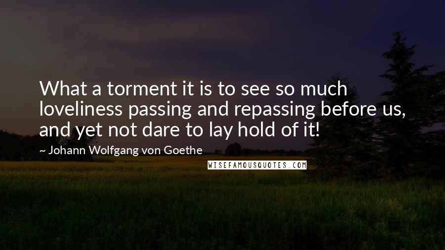 Johann Wolfgang Von Goethe Quotes: What a torment it is to see so much loveliness passing and repassing before us, and yet not dare to lay hold of it!