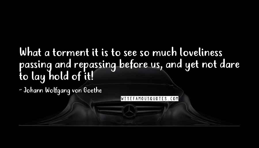 Johann Wolfgang Von Goethe Quotes: What a torment it is to see so much loveliness passing and repassing before us, and yet not dare to lay hold of it!