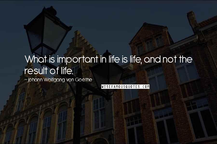 Johann Wolfgang Von Goethe Quotes: What is important in life is life, and not the result of life.