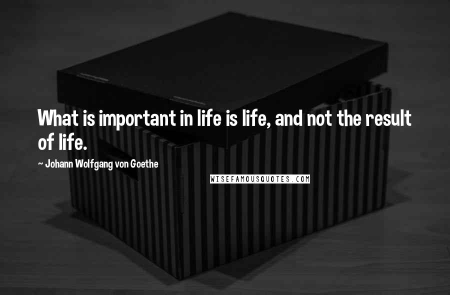Johann Wolfgang Von Goethe Quotes: What is important in life is life, and not the result of life.