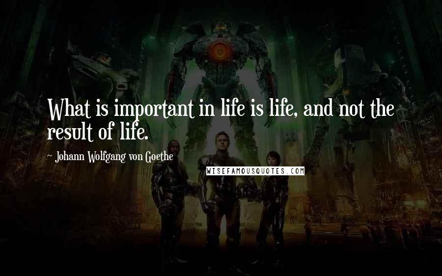 Johann Wolfgang Von Goethe Quotes: What is important in life is life, and not the result of life.