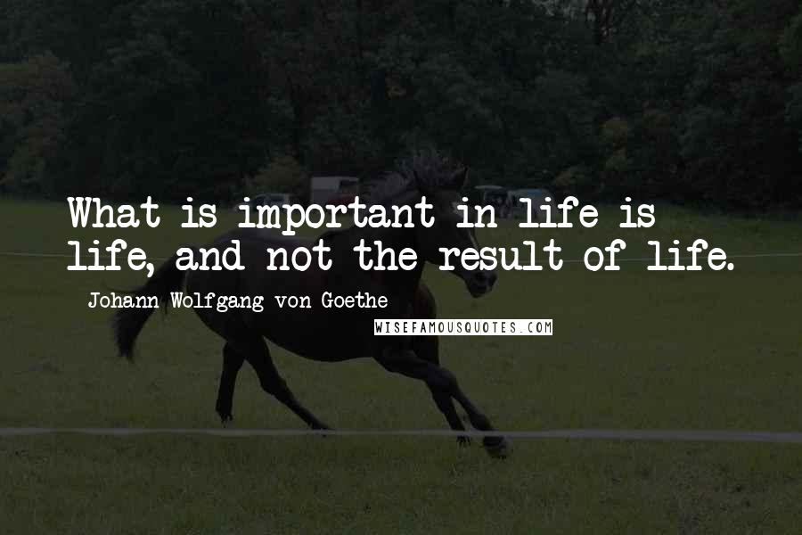 Johann Wolfgang Von Goethe Quotes: What is important in life is life, and not the result of life.