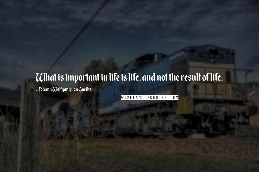 Johann Wolfgang Von Goethe Quotes: What is important in life is life, and not the result of life.